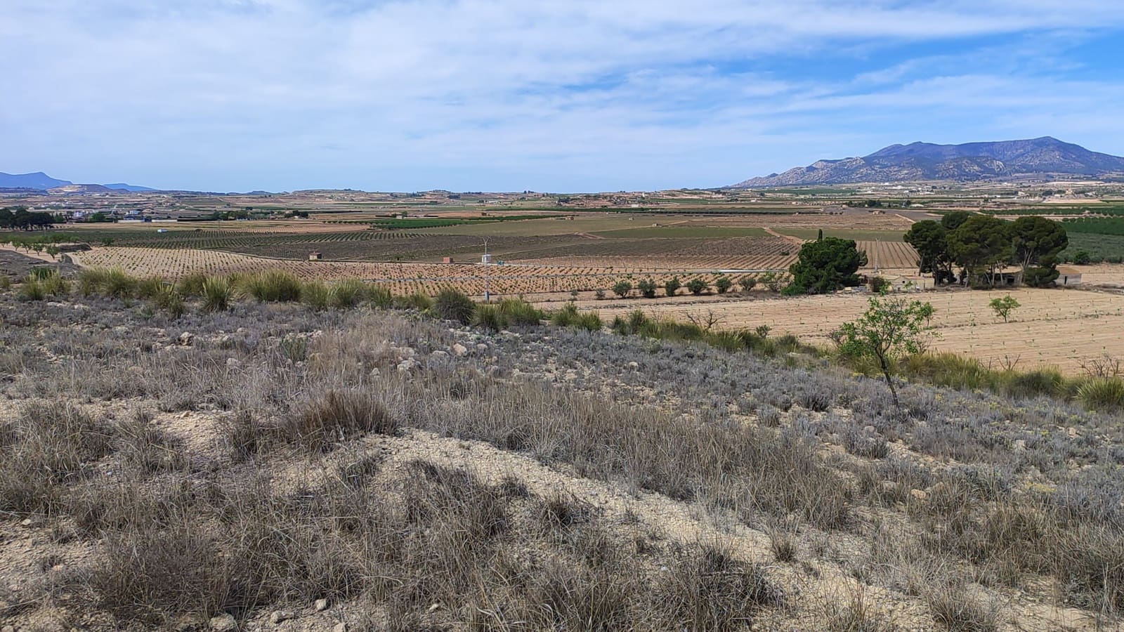 Mark till salu i Pinoso - 41 000 € (Ref: 8048397)