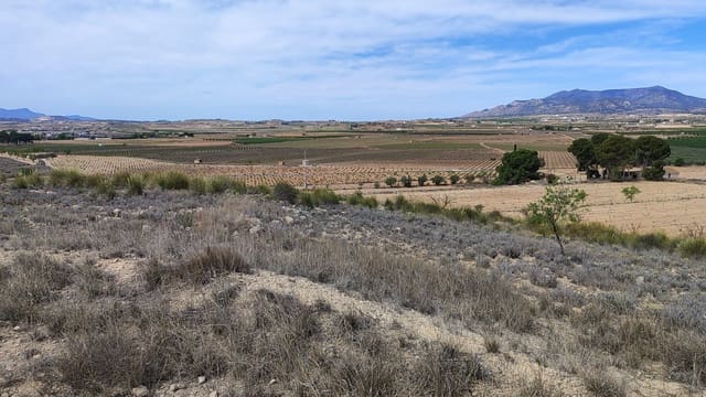 Landgrundstück zu verkaufen in Pinoso - 41.000 € (Ref: 8048397)