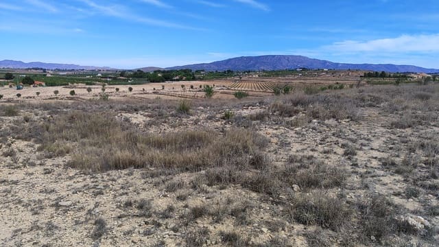 Landgrundstück zu verkaufen in Pinoso - 41.000 € (Ref: 8048397)