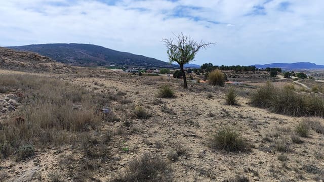 Landgrundstück zu verkaufen in Pinoso - 41.000 € (Ref: 8048397)