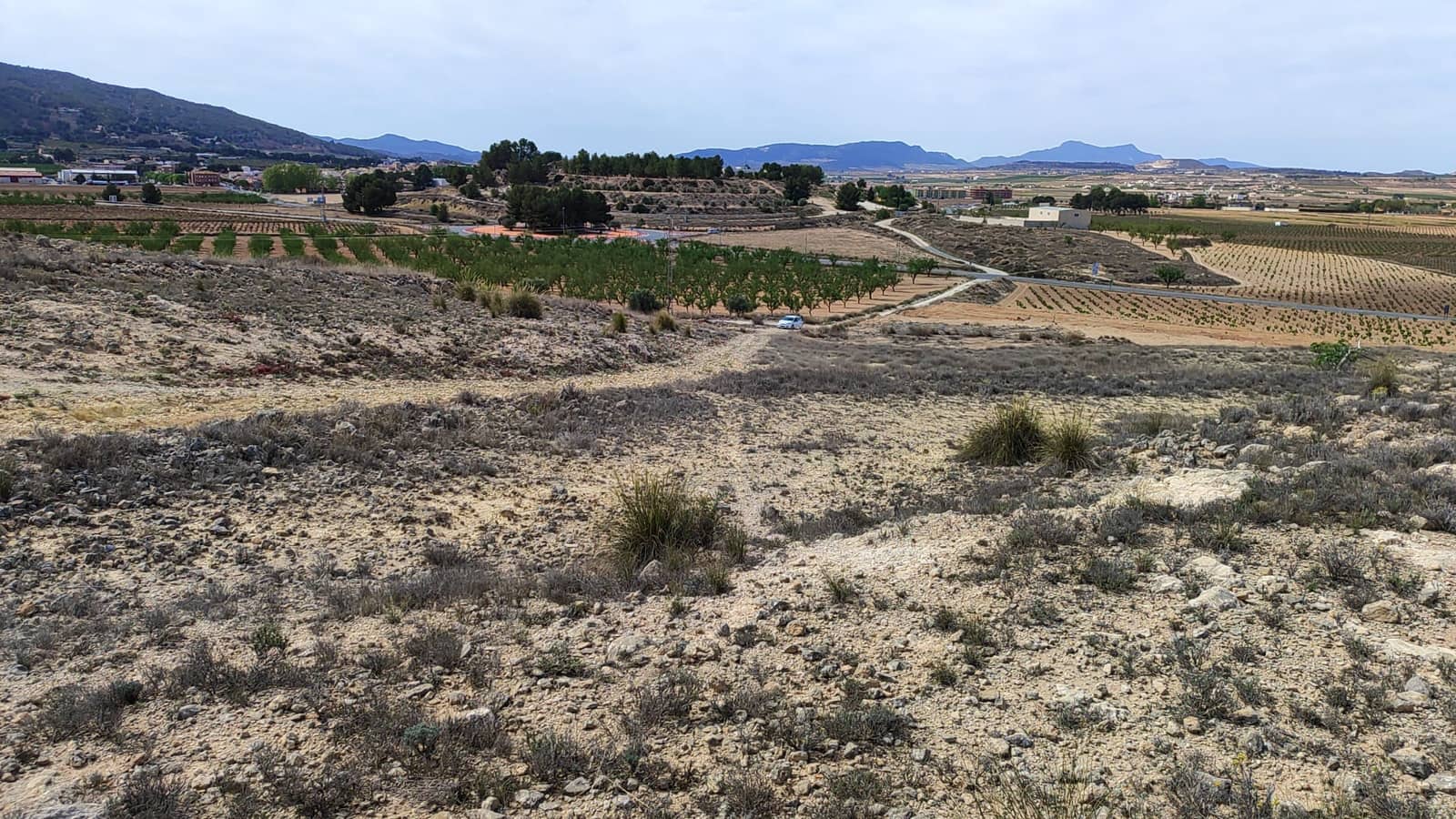 Mark till salu i Pinoso - 41 000 € (Ref: 8048397)