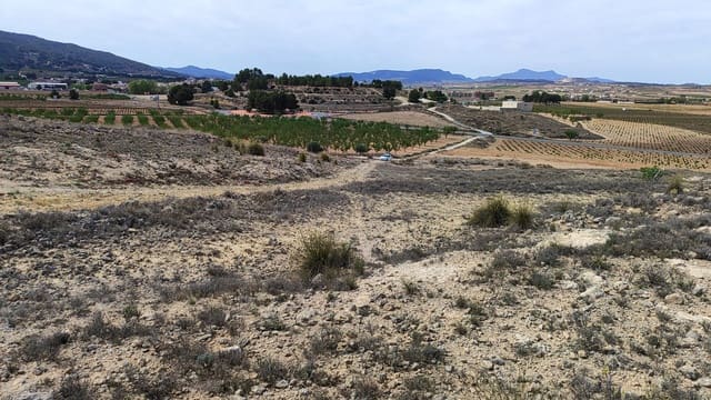 Landgrundstück zu verkaufen in Pinoso - 41.000 € (Ref: 8048397)
