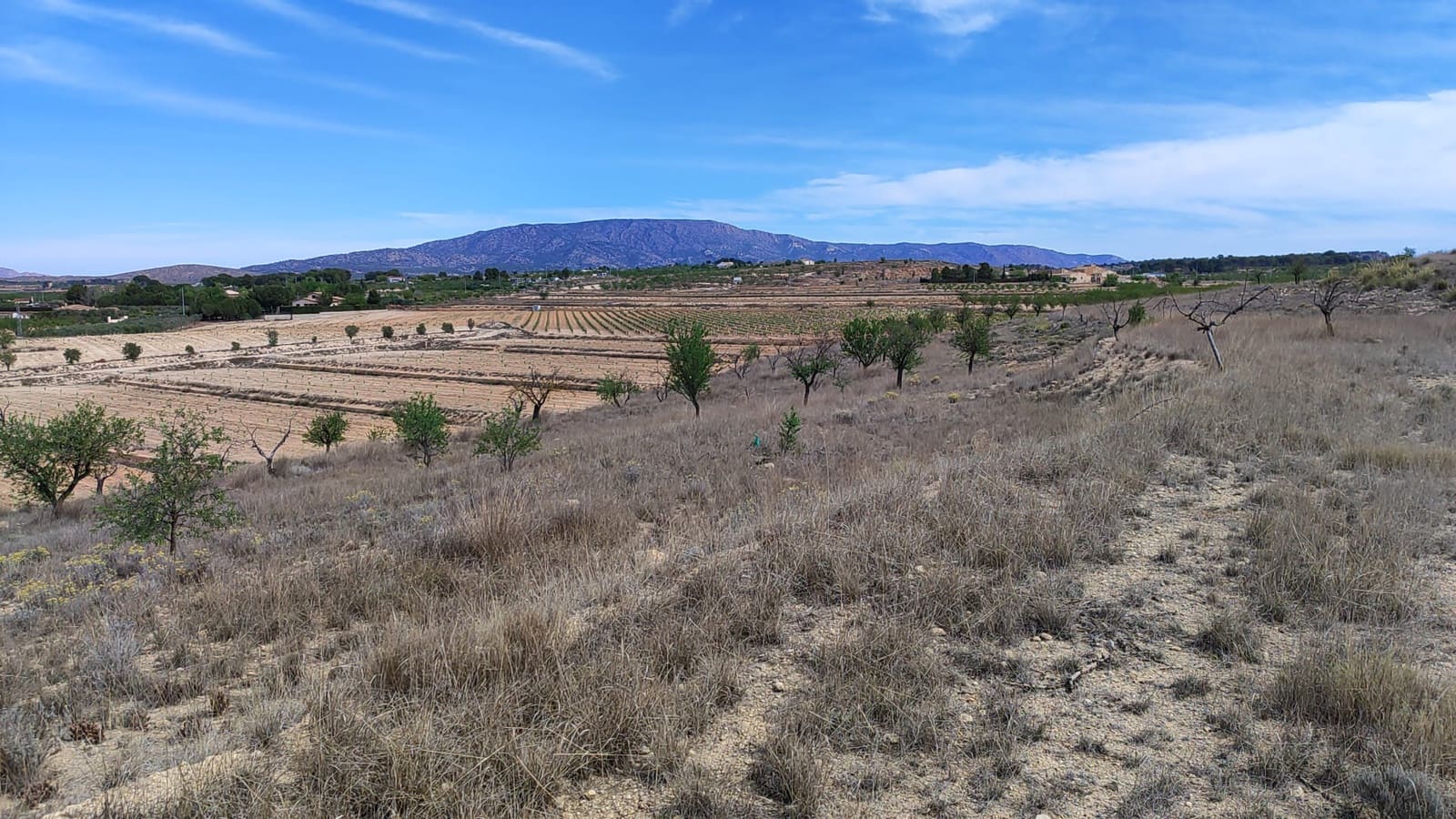Mark till salu i Pinoso - 41 000 € (Ref: 8048397)