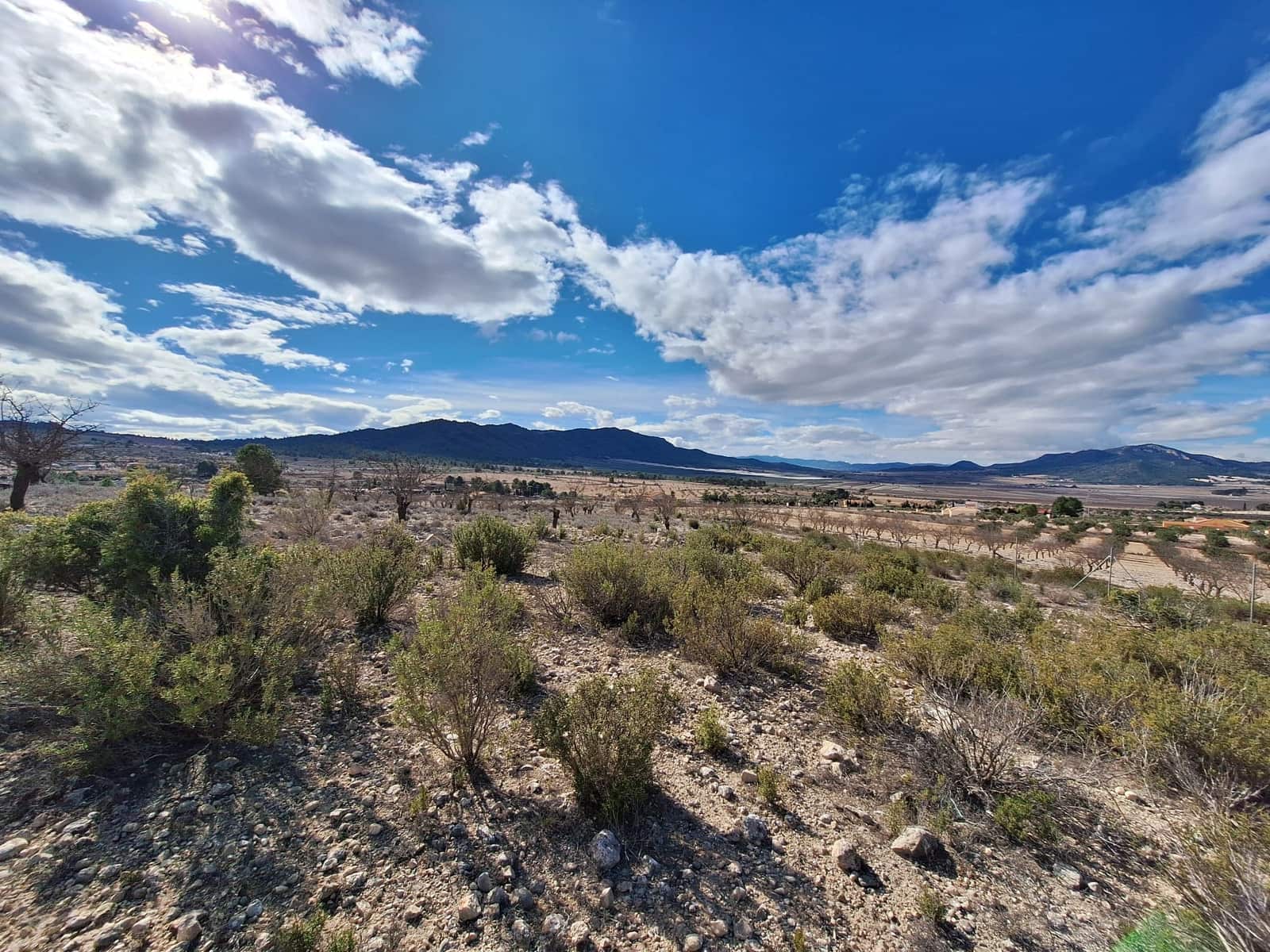 Rakentamaton maa myytävänä paikassa Salinas - 55 000 € (Ref: 8125795)