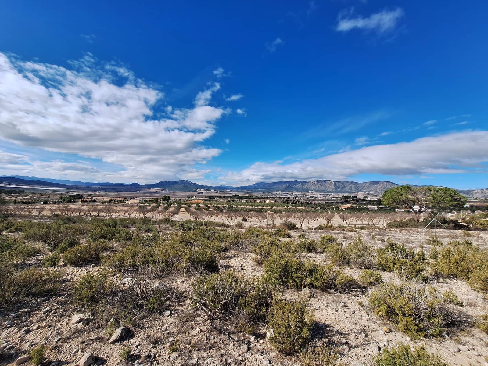 Rakentamaton maa myytävänä paikassa Salinas - 55 000 € (Ref: 8125795)