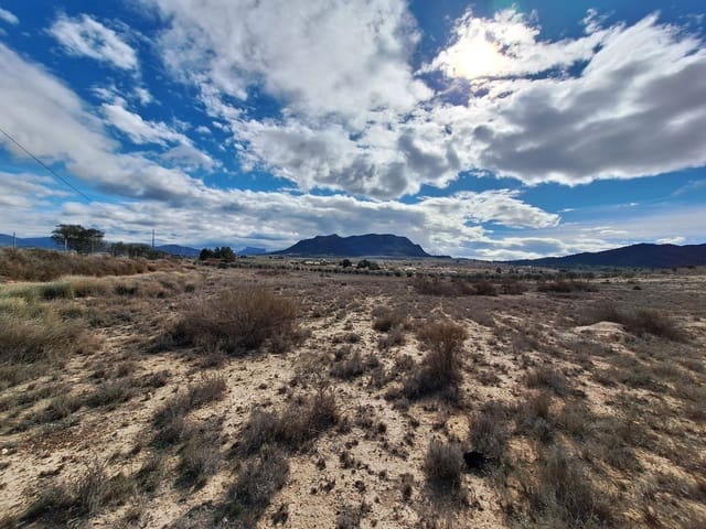 Terreno Non Edificato in vendita in Salinas - 55.000 € (Rif: 8125795)