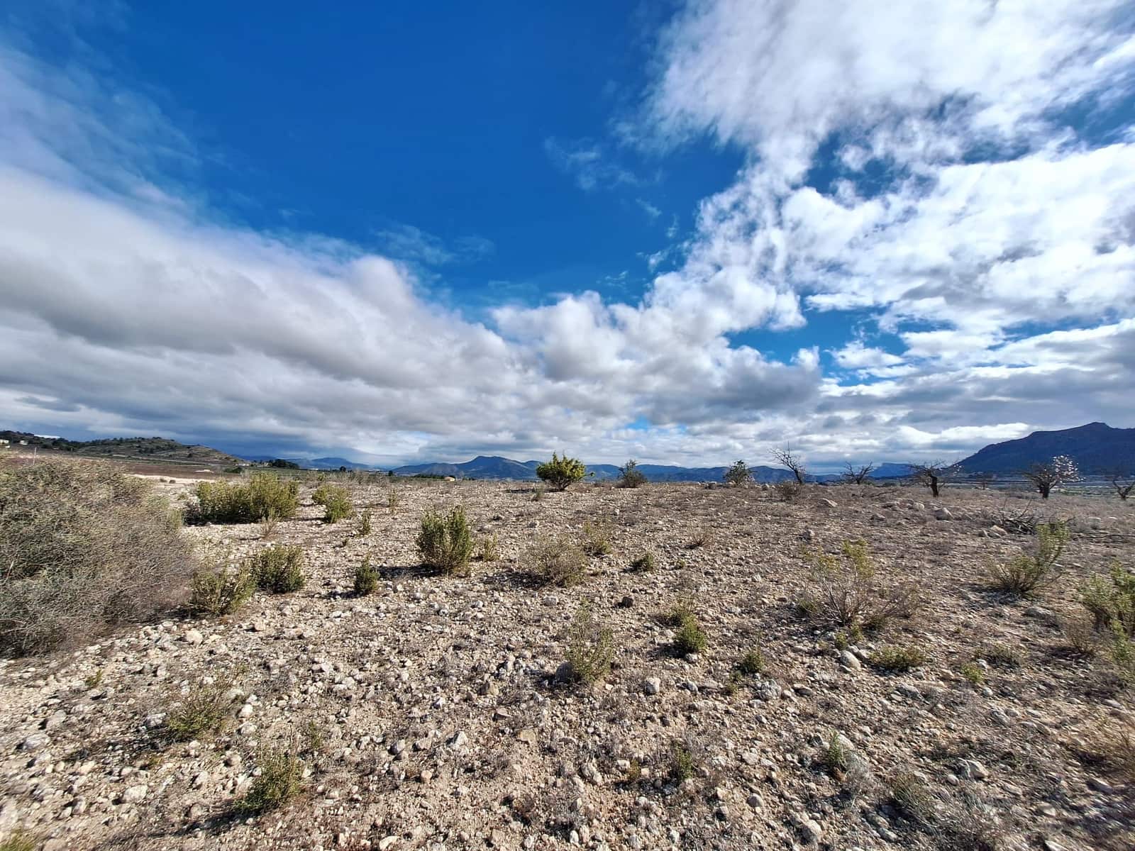 Rakentamaton maa myytävänä paikassa Salinas - 55 000 € (Ref: 8125795)