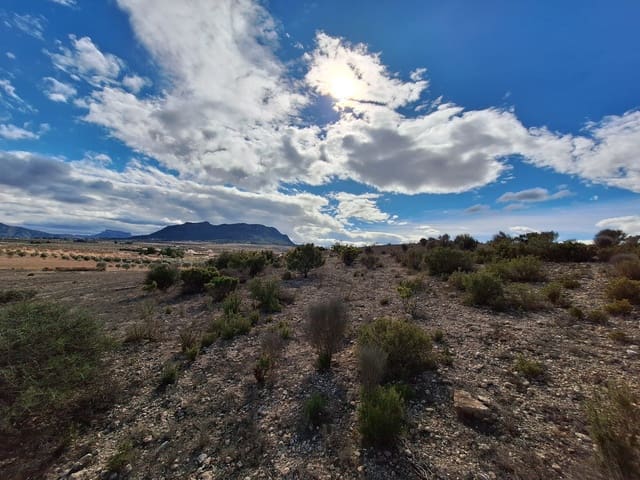 Terreno Non Edificato in vendita in Salinas - 55.000 € (Rif: 8125795)