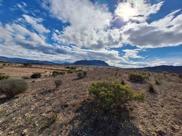 Terreno Non Edificato in vendita in Salinas - 55.000 € (Rif: 8125795)