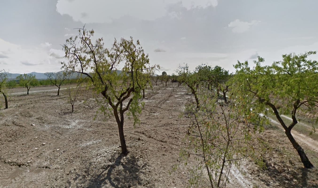 Undeveloped Land for sale in Pinoso - € 69,000 (Ref: 8133399)