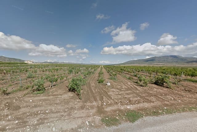 Ubebygd land til salgs i Pinoso - € 65 000 (Ref: 8151845)