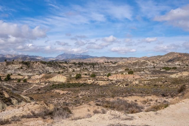 4 soverom Finca/Herregård til salgs i El Partidor, Abanilla med svømmebasseng - € 150 000 (Ref: 8158044)