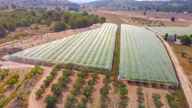 6 bedroom Finca/Country House for sale in Monóvar / Monóver with pool - € 699,000 (Ref: 8176924)