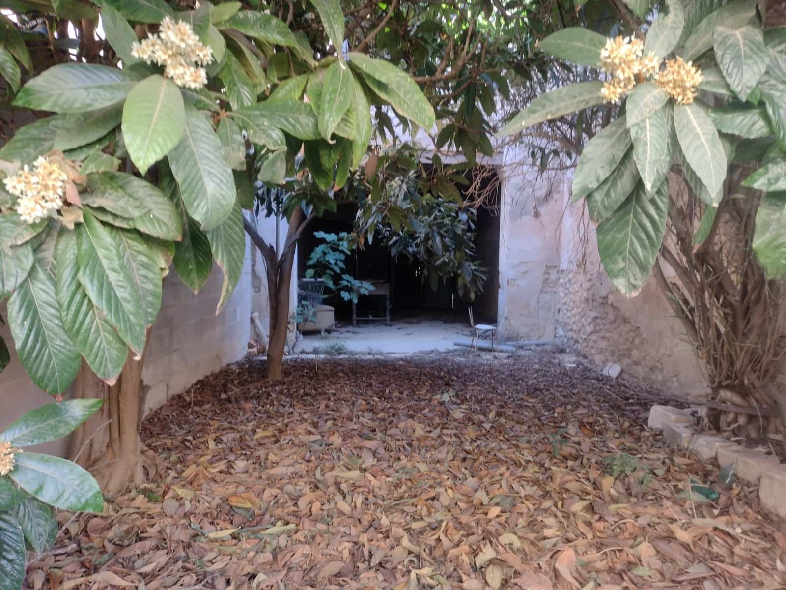 8 quarto Casa em Banda para venda em Pinoso com piscina - 150 000 € (Ref: 8182367)