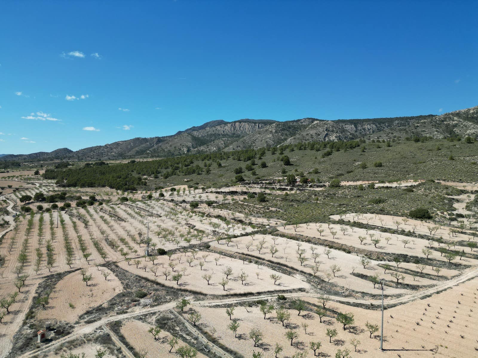 Terreno Non Edificato in vendita in La Alberquilla - 49.000 € (Rif: 8338996)