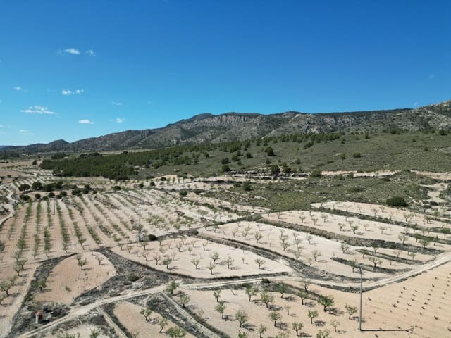 Undeveloped Land for sale in La Alberquilla, Jumilla - € 49,000 (Ref: 8338996)