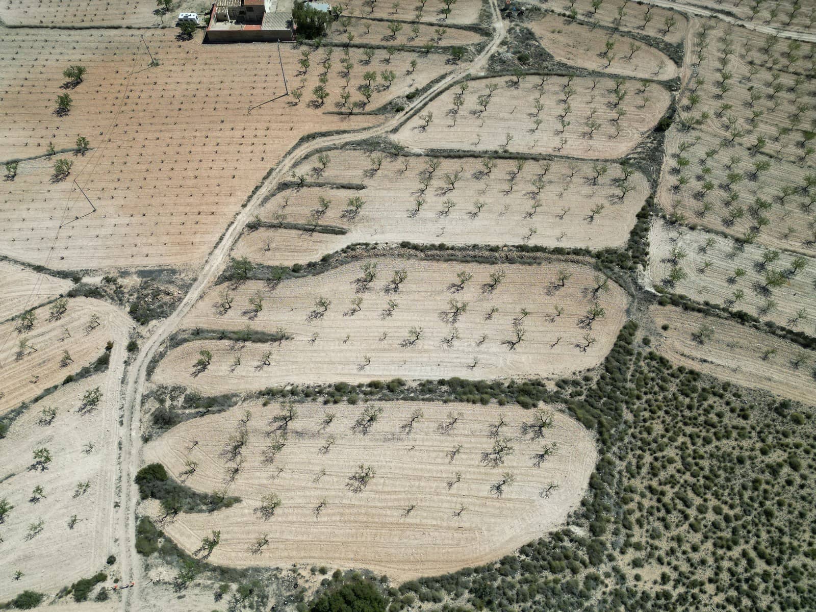 Terreno Non Edificato in vendita in La Alberquilla - 49.000 € (Rif: 8338996)