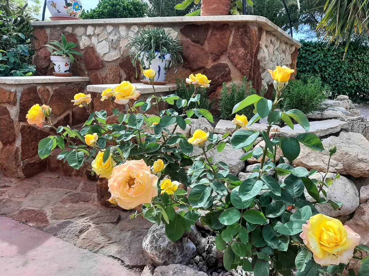 6 soveværelse Finca/Landehus til salg i Barbarroja med swimmingpool - € 850.000 (Ref: 8347272)