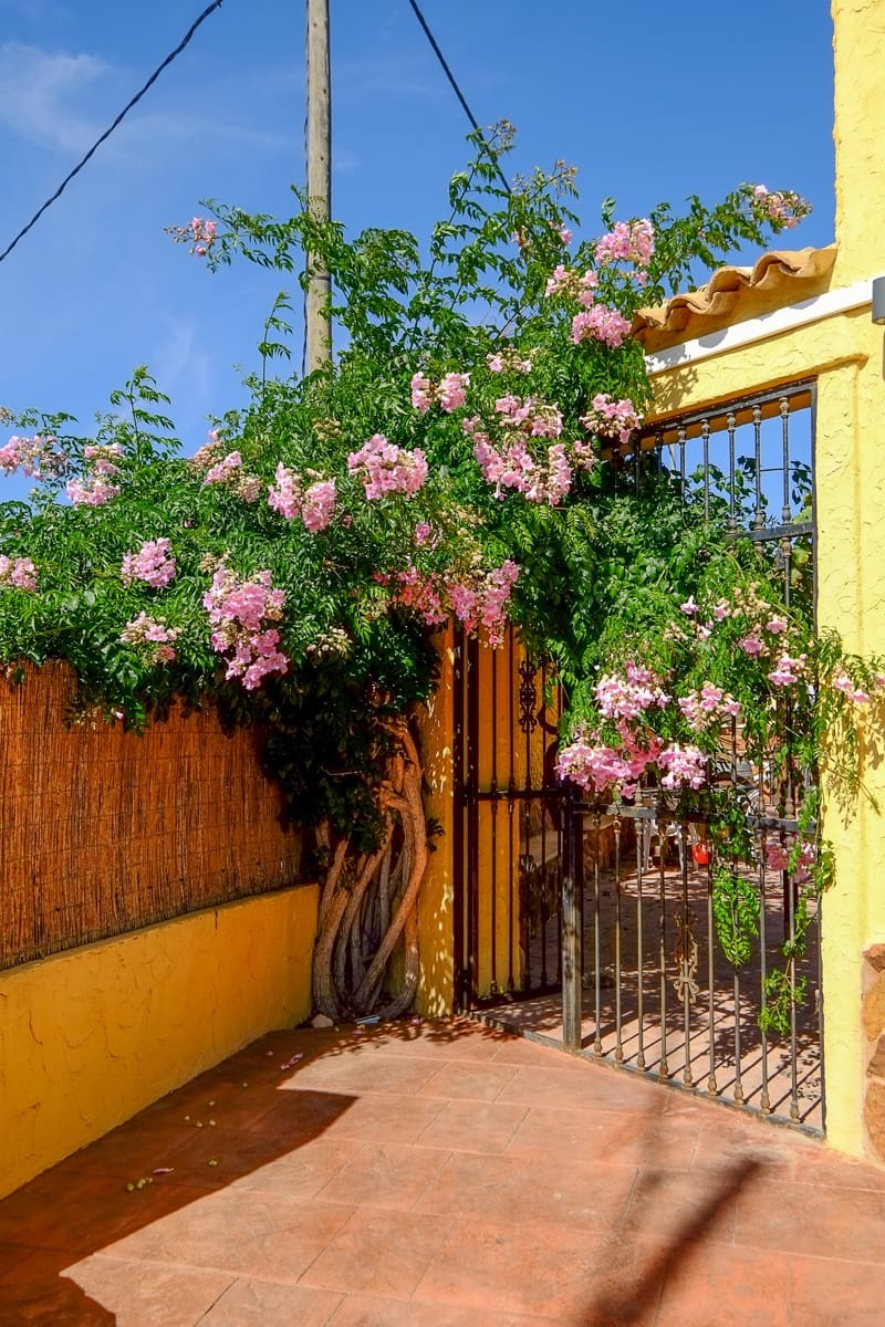 6 soveværelse Finca/Landehus til salg i Barbarroja med swimmingpool - € 850.000 (Ref: 8347272)