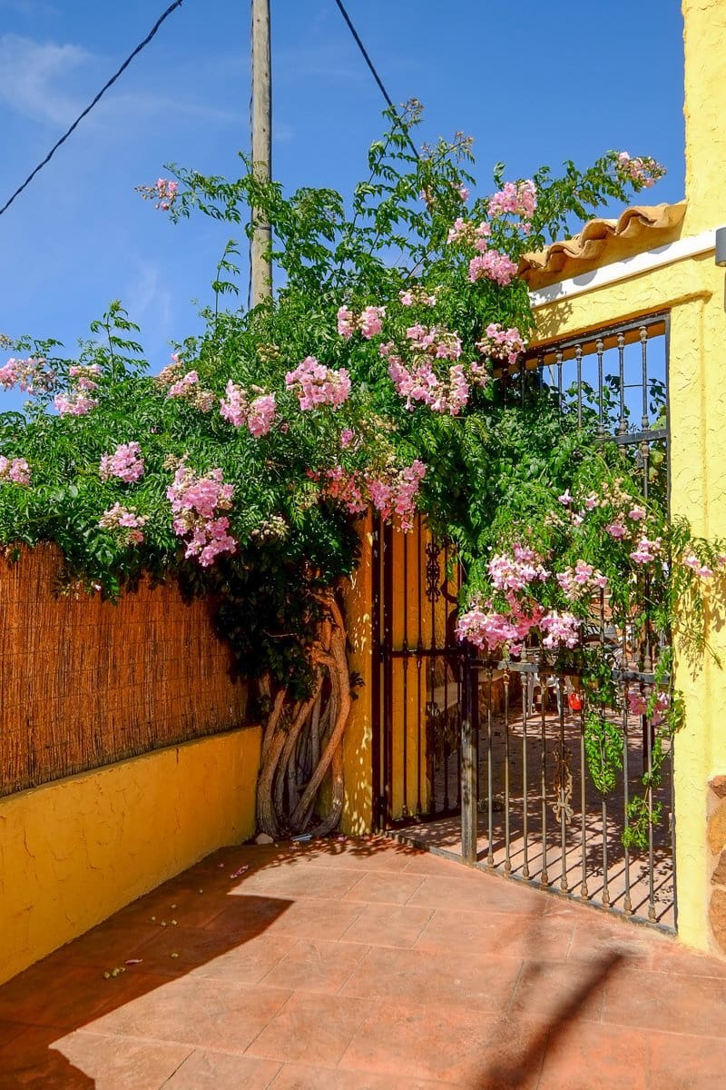 6 soverom Finca/Herregård til salgs i Barbarroja med svømmebasseng - € 850 000 (Ref: 8347272)