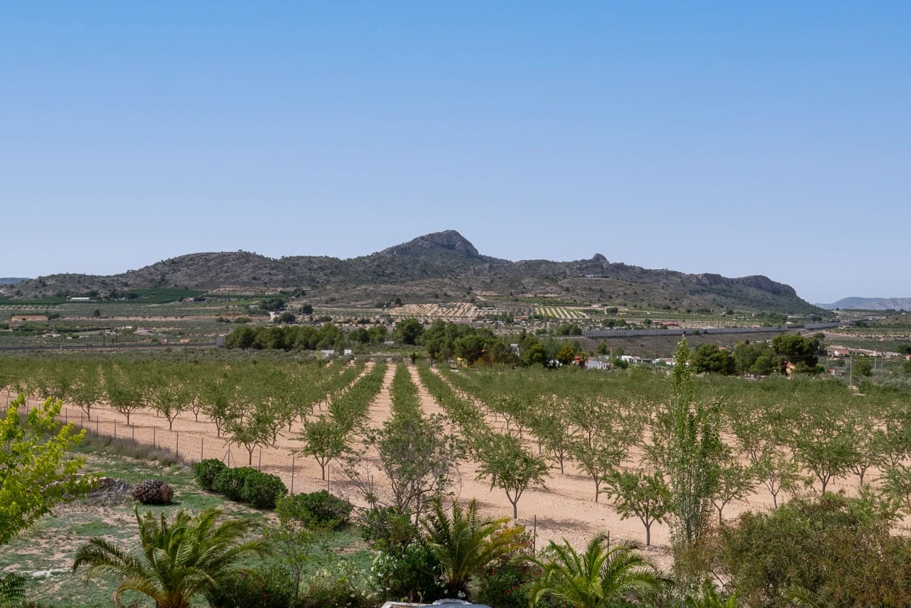 5 sypialnia Willa na sprzedaż w Elda z basenem - 449 500 € (Ref: 8408586)