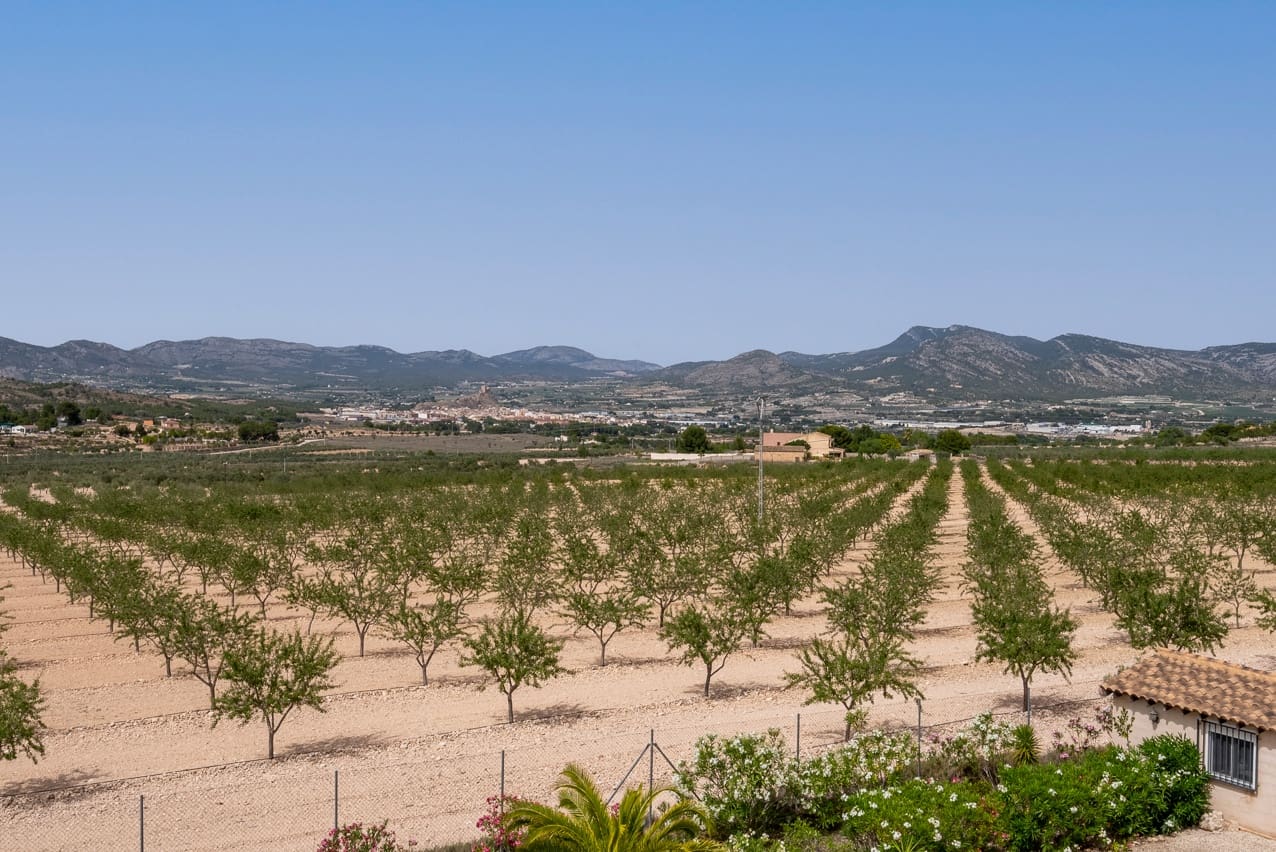 5 sypialnia Willa na sprzedaż w Elda z basenem - 449 500 € (Ref: 8408586)