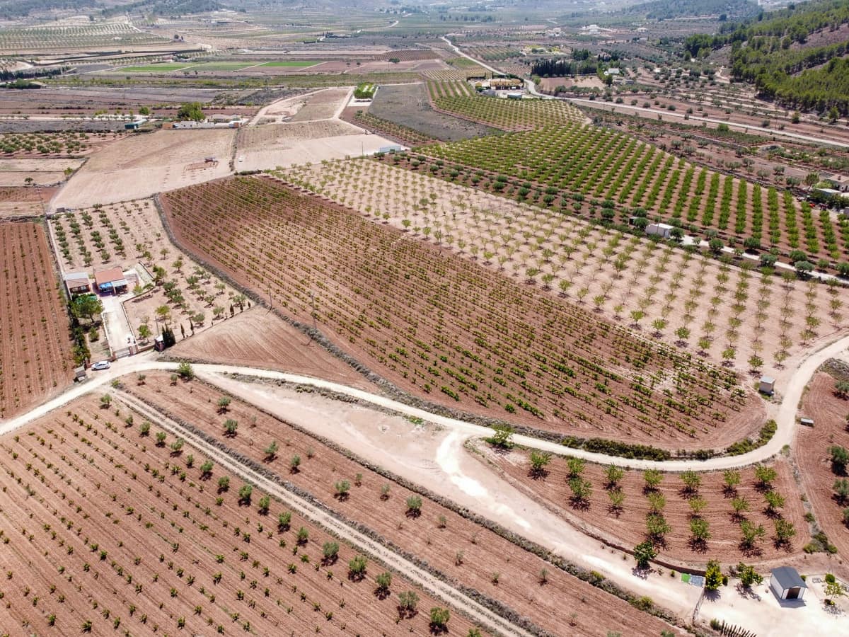 Grunde uden byggetilladelser til salg i Pinoso - € 99.995 (Ref: 8422351)