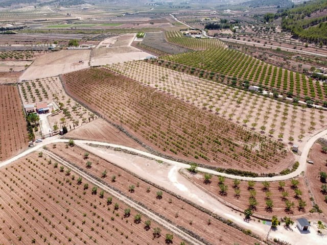 Grunde uden byggetilladelser til salg i Pinoso - € 99.995 (Ref: 8422351)