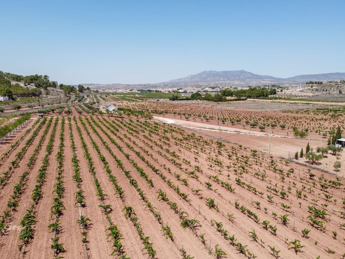 Grunde uden byggetilladelser til salg i Pinoso - € 99.995 (Ref: 8422351)