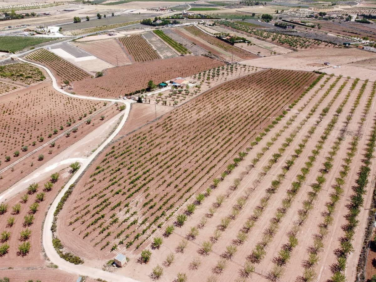 Grunde uden byggetilladelser til salg i Pinoso - € 99.995 (Ref: 8422351)