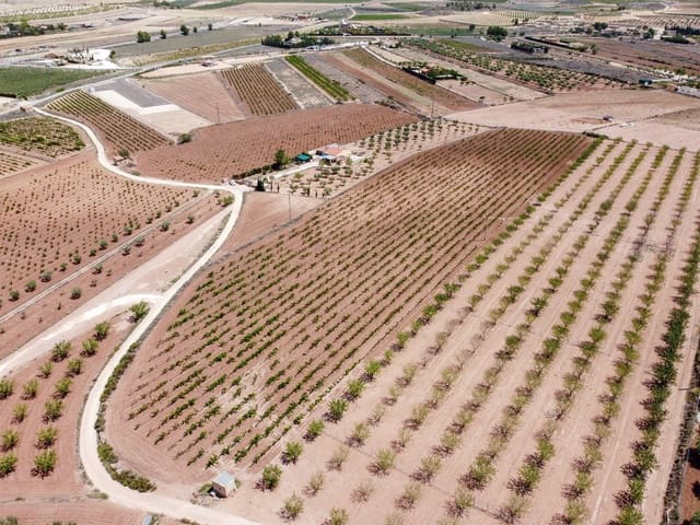 Grunde uden byggetilladelser til salg i Pinoso - € 99.995 (Ref: 8422351)