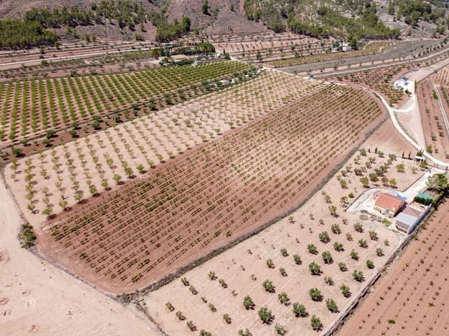 Grunde uden byggetilladelser til salg i Pinoso - € 99.995 (Ref: 8422351)