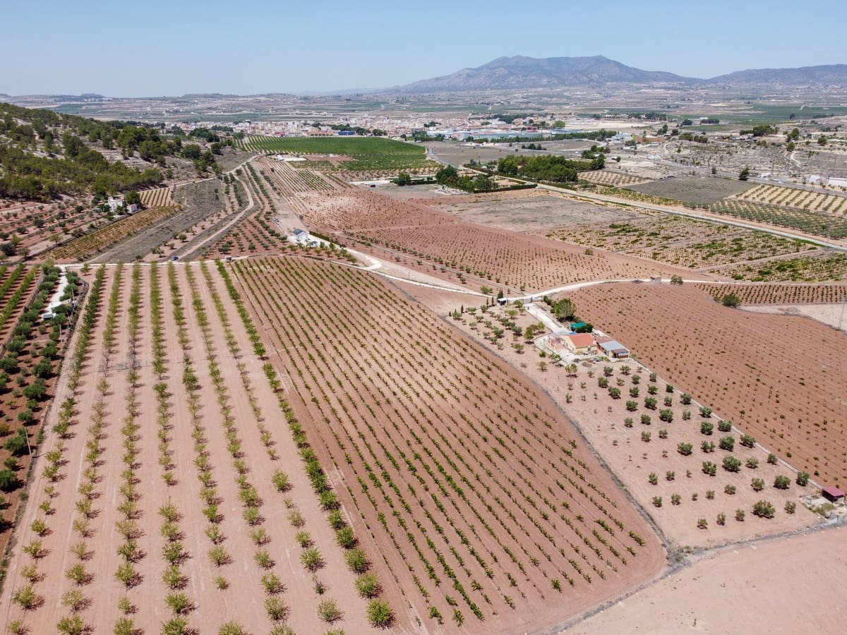 Grunde uden byggetilladelser til salg i Pinoso - € 99.995 (Ref: 8422351)