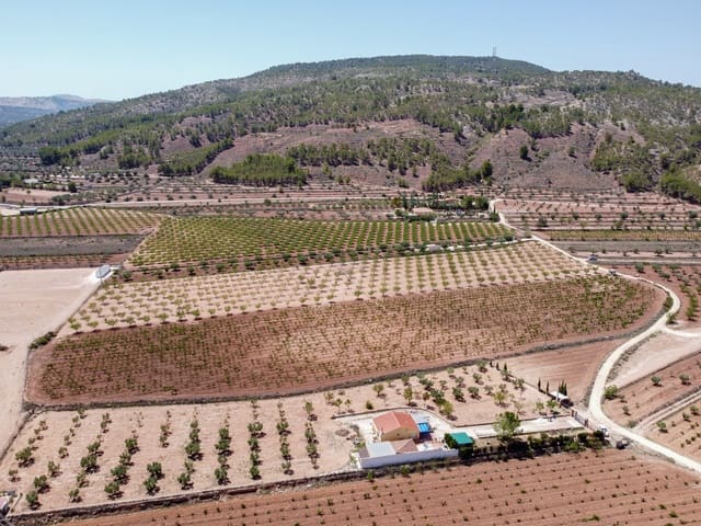 Grunde uden byggetilladelser til salg i Pinoso - € 99.995 (Ref: 8422351)