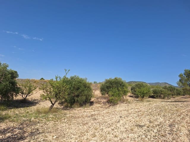 Undeveloped Land for sale in Pinoso - € 49,500 (Ref: 8431970)