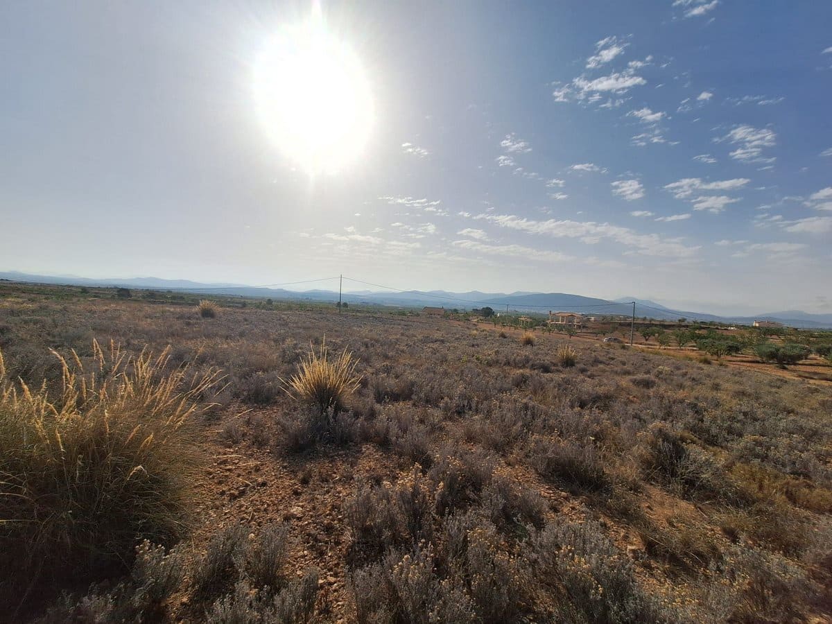 Undeveloped Land for sale in Pinoso - € 49,500 (Ref: 8431970)