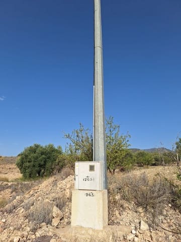 Undeveloped Land for sale in Pinoso - € 49,500 (Ref: 8431970)