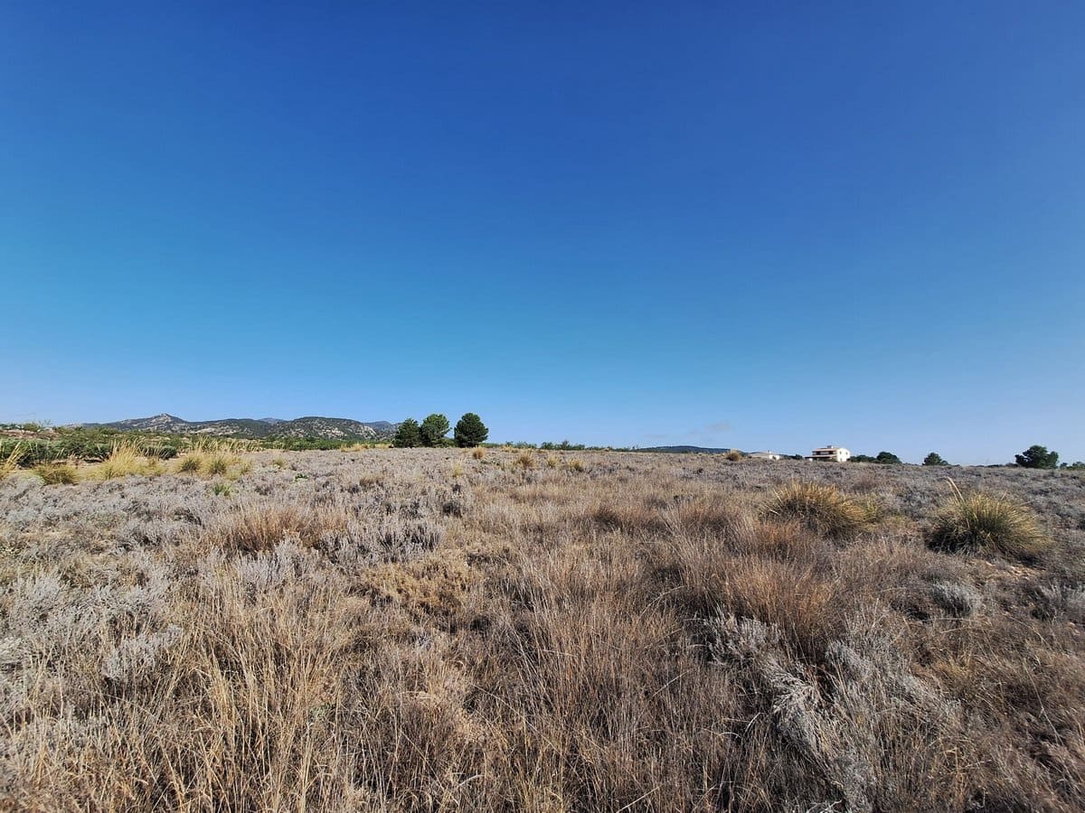Undeveloped Land for sale in Pinoso - € 49,500 (Ref: 8431970)