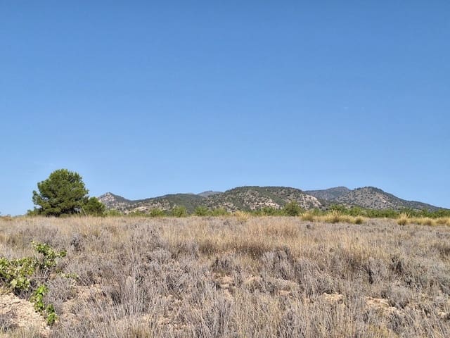 Undeveloped Land for sale in Pinoso - € 49,500 (Ref: 8431970)