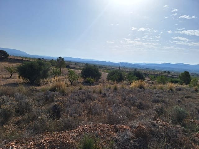 Undeveloped Land for sale in Pinoso - € 49,500 (Ref: 8431970)