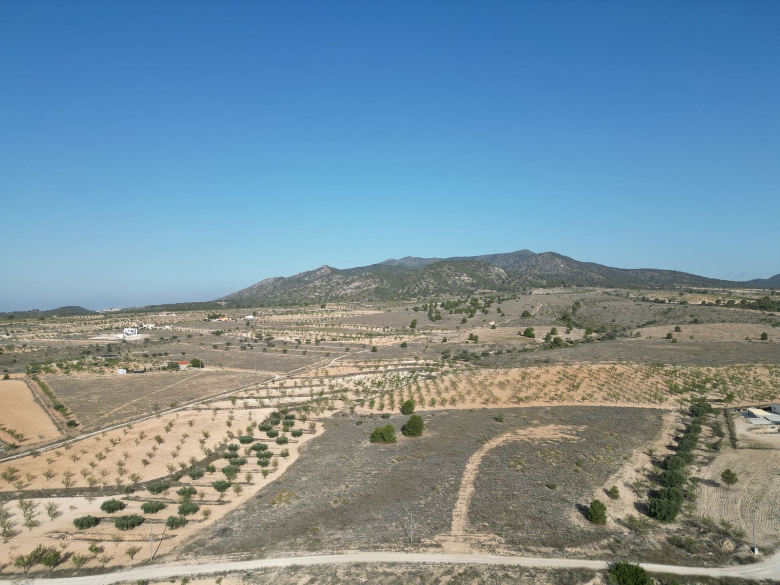 Undeveloped Land for sale in Pinoso - € 49,500 (Ref: 8431970)