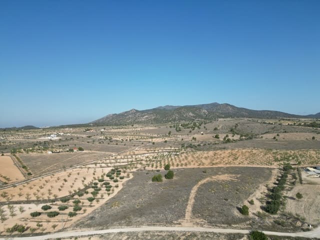 Undeveloped Land for sale in Pinoso - € 49,500 (Ref: 8431970)