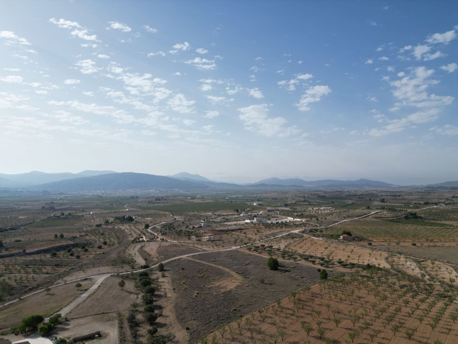 Undeveloped Land for sale in Pinoso - € 49,500 (Ref: 8431970)