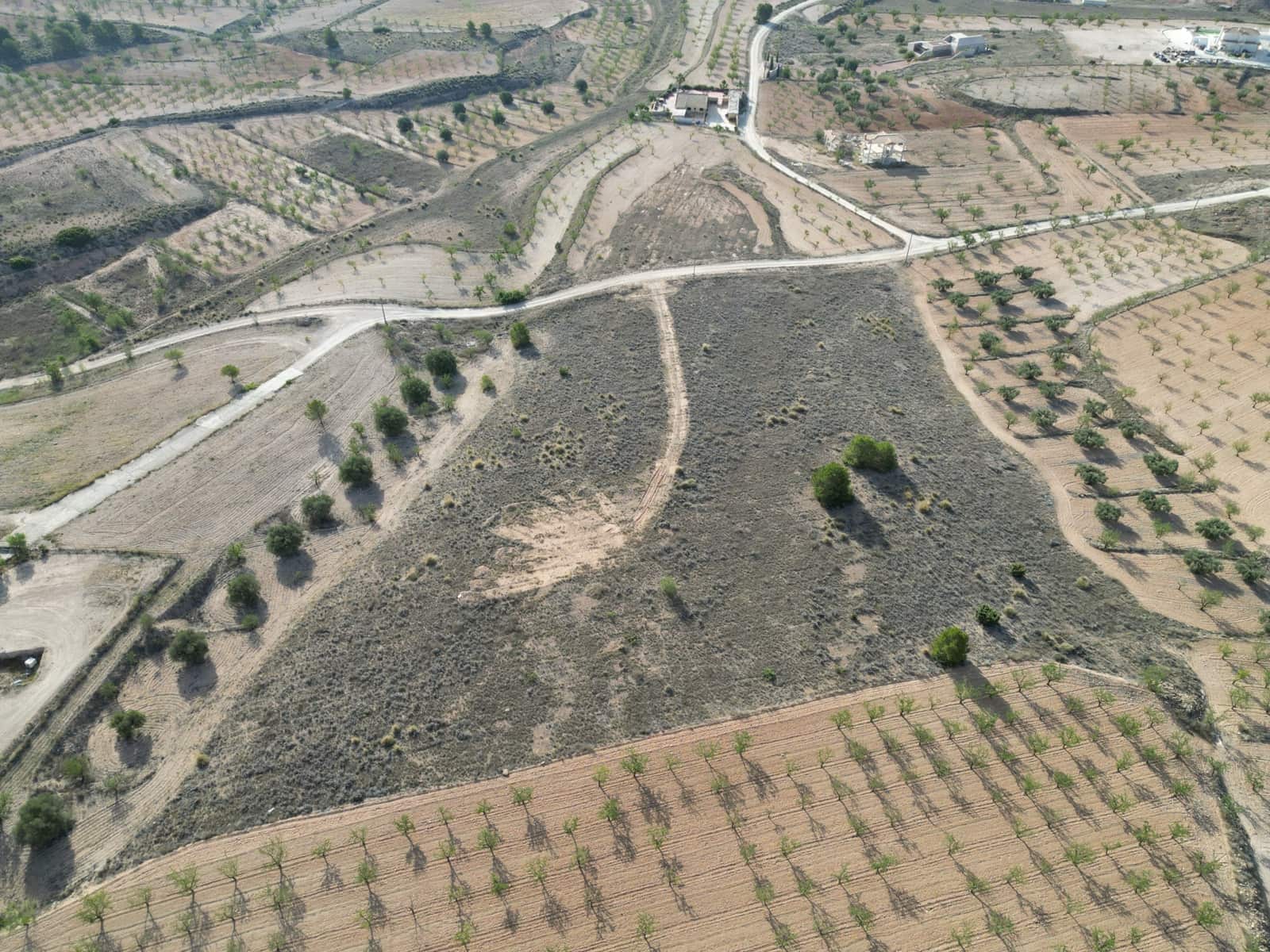 Undeveloped Land for sale in Pinoso - € 49,500 (Ref: 8431970)