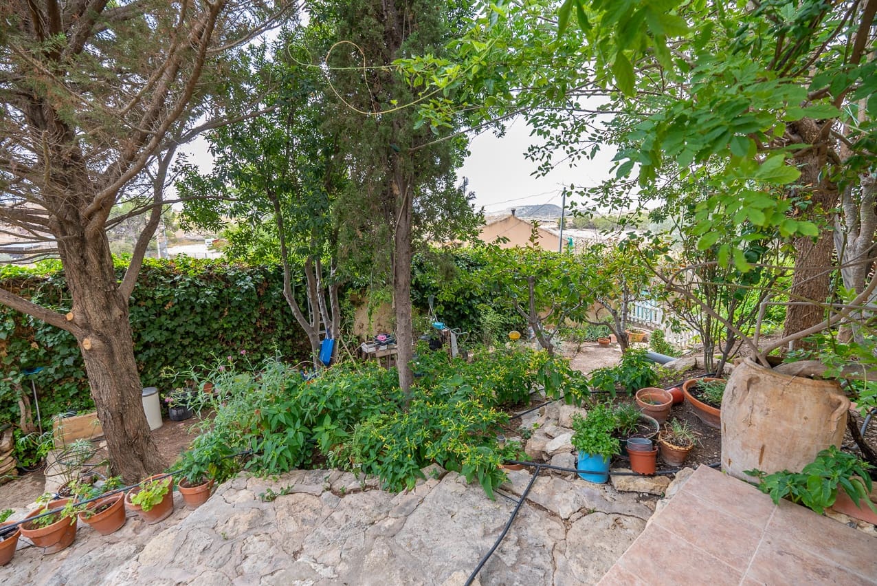 7 soveværelse Finca/Landehus til salg i Pinoso med swimmingpool - € 299.000 (Ref: 8506286)