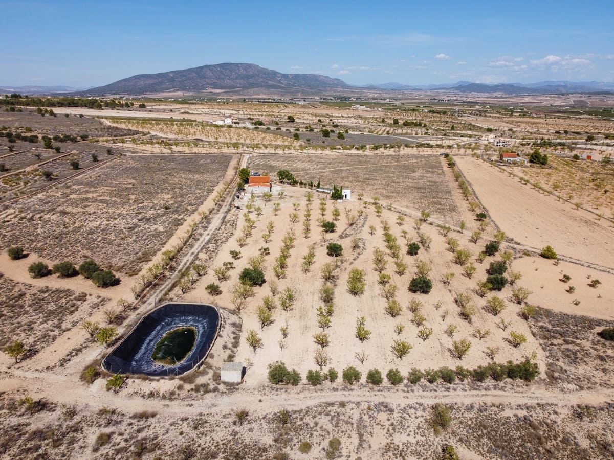 3 soveværelse Finca/Landehus til salg i Jumilla med swimmingpool - € 125.000 (Ref: 8537623)