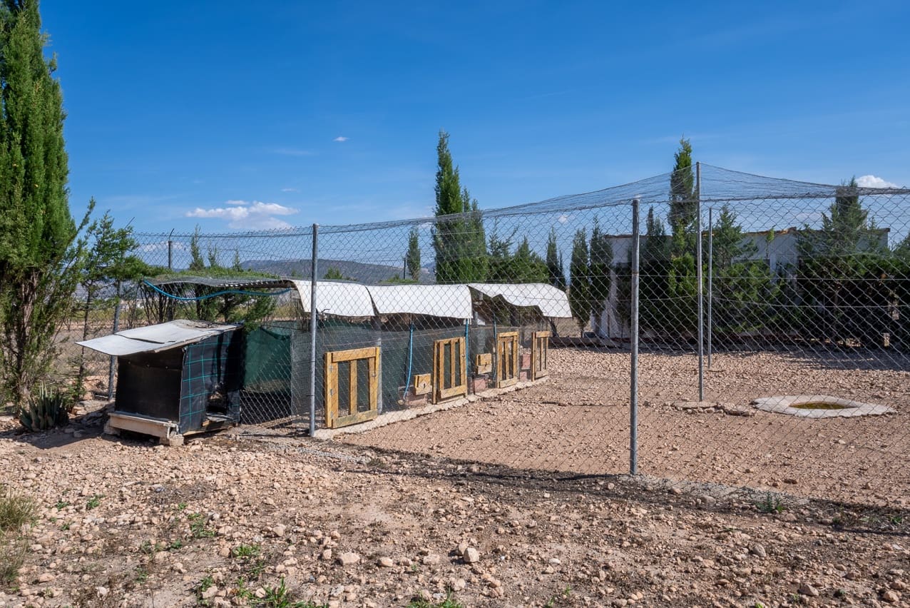 3 soveværelse Finca/Landehus til salg i Jumilla med swimmingpool - € 125.000 (Ref: 8537623)