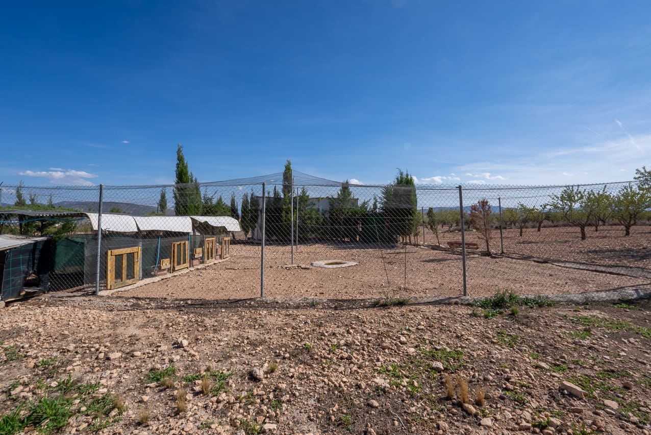 3 soveværelse Finca/Landehus til salg i Jumilla med swimmingpool - € 125.000 (Ref: 8537623)