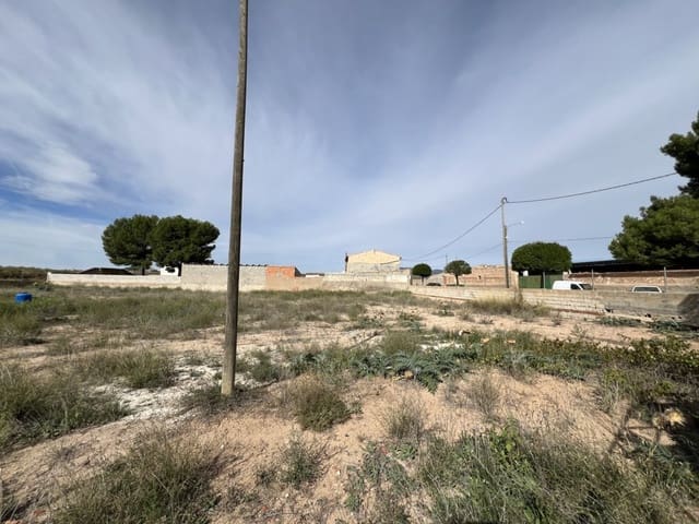 Undeveloped Land for sale in Rodriguillo, Pinoso - € 50,000 (Ref: 8589893)