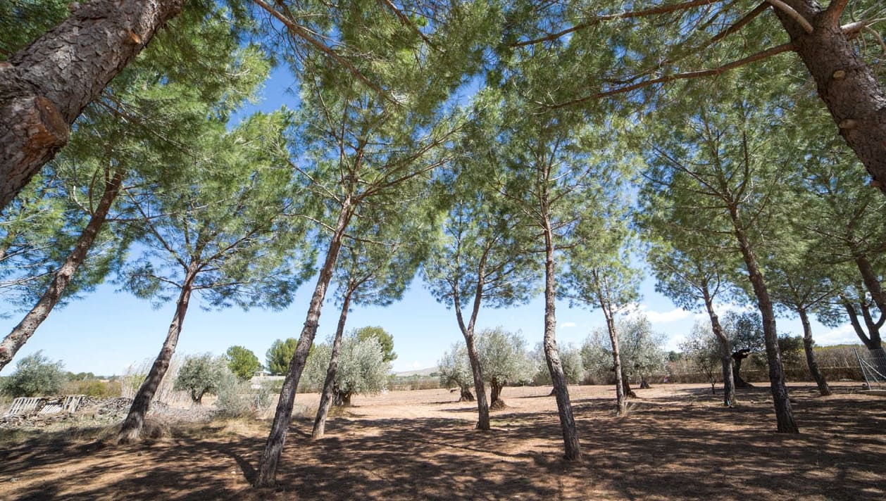 7 camera da letto Villa in vendita in Yecla con piscina - 600.000 € (Rif: 8757009)